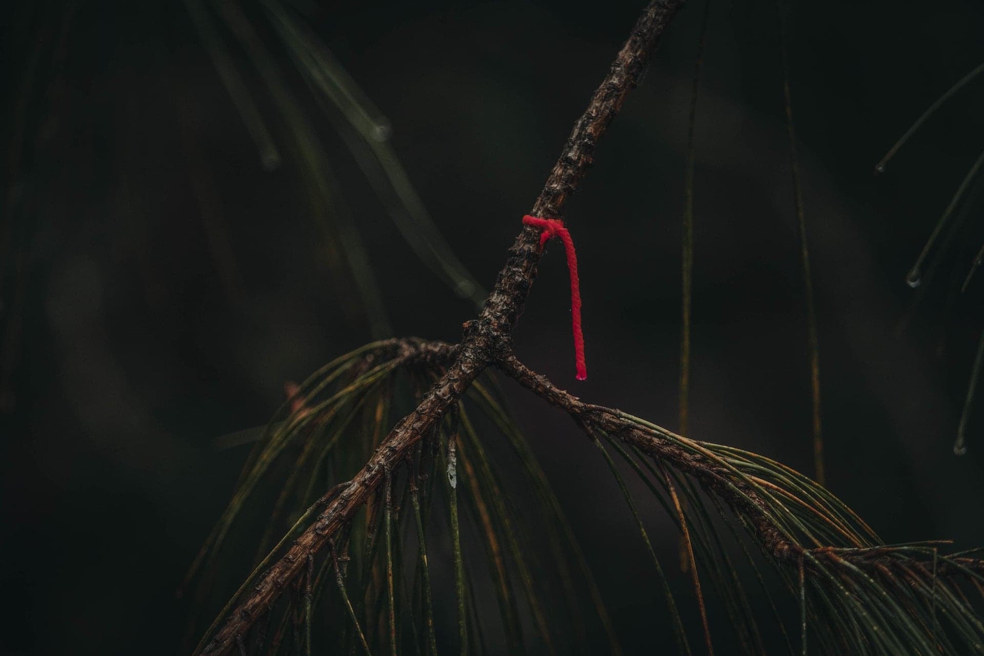 Не самая нелепая смерть в моей практике, но зато довольно интересная